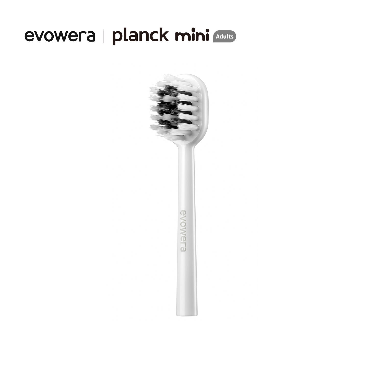 planck mini Replacement Brush Heads, 2-Count, Adults