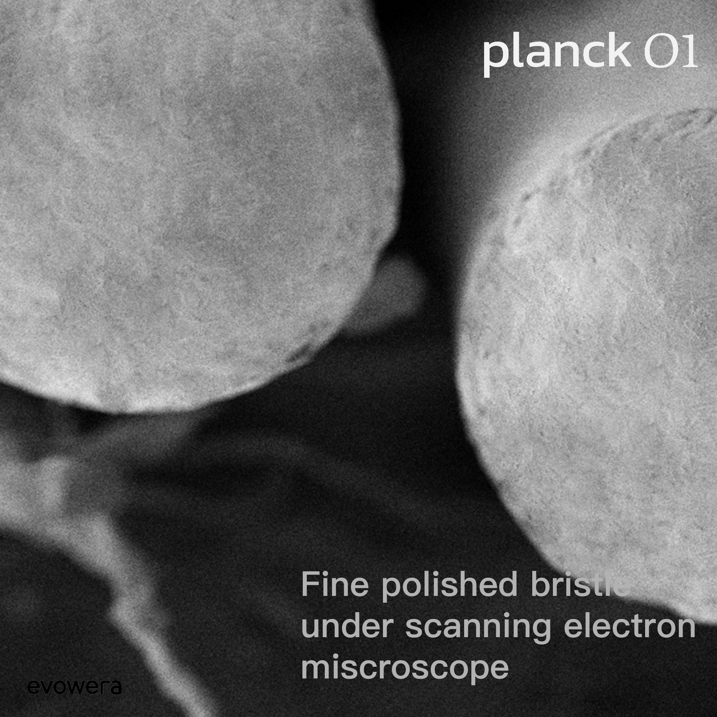 Planck O1 Ersatzbürstenköpfe, 3 Stück